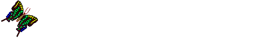 divider-butterfly.gif